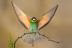 Profile picture for user इंद्रराज पवार